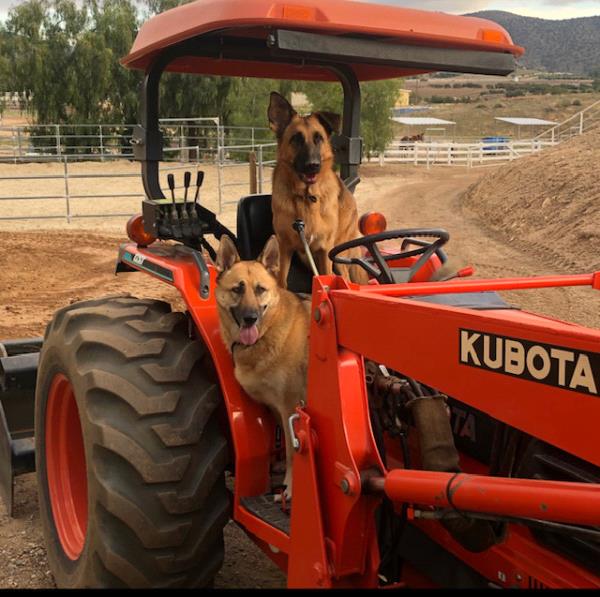 /Images/uploads/International Guiding Eyes Inc/gdapawsitivitycalendar/entries/20034thumb.jpg